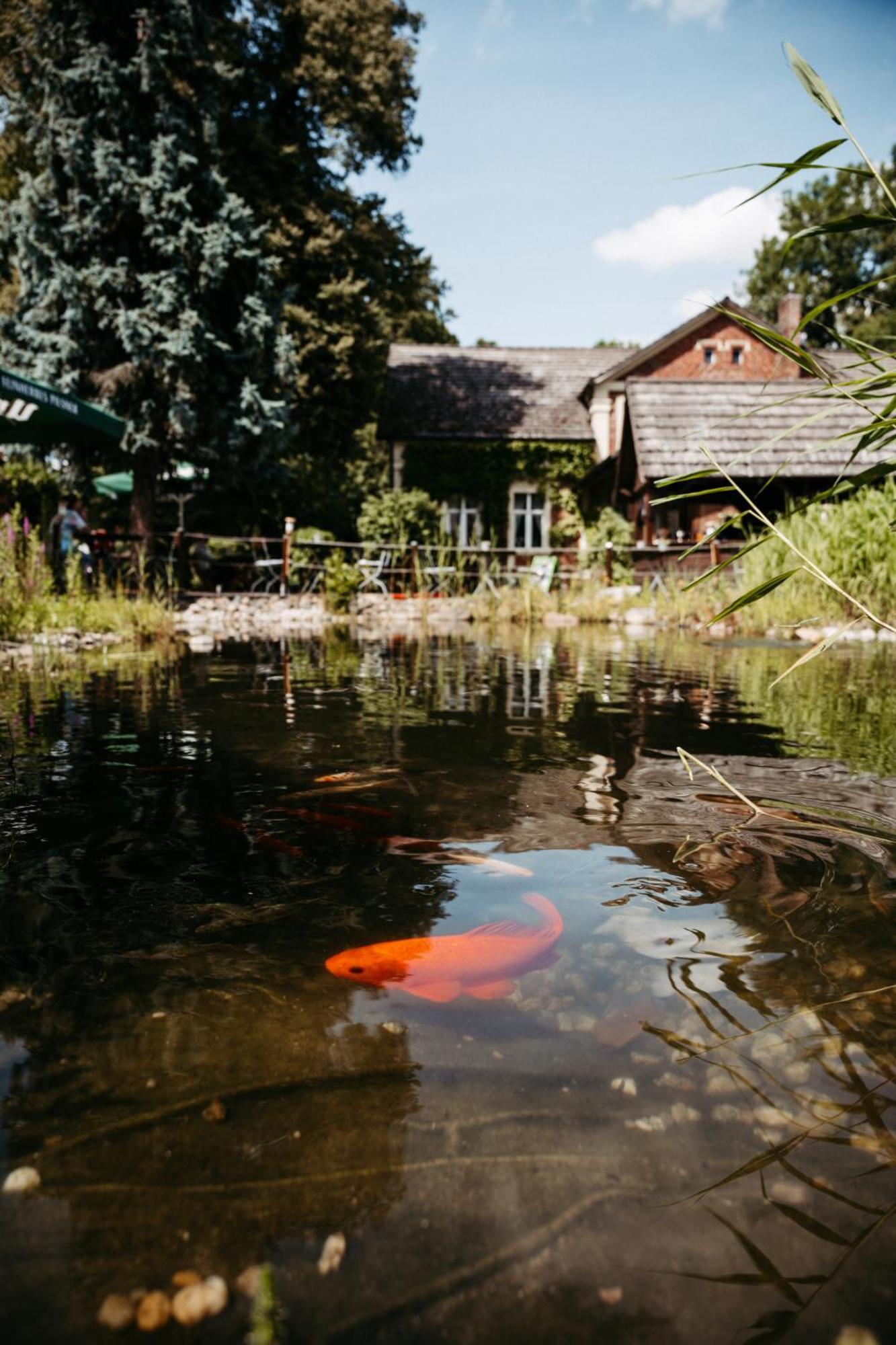 Hotel Kolonieschanke Burg (Spreewald) Exterior foto